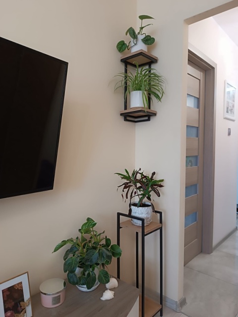 Kwietnik narożny wiszący na ścianę Półka narożna Loft "Loft Corner Duo"